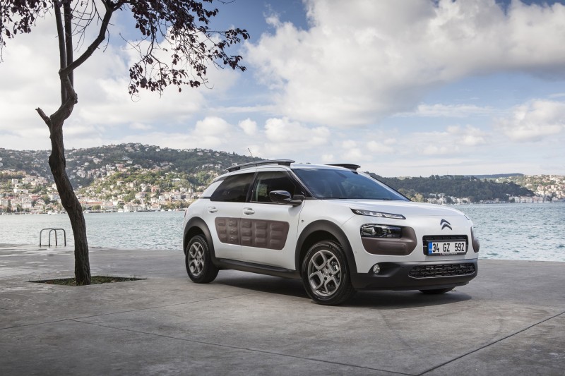 citroen-cactus