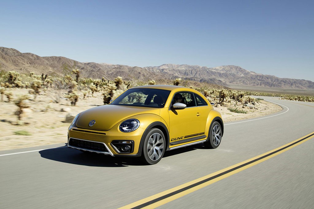beetle-dune (4)