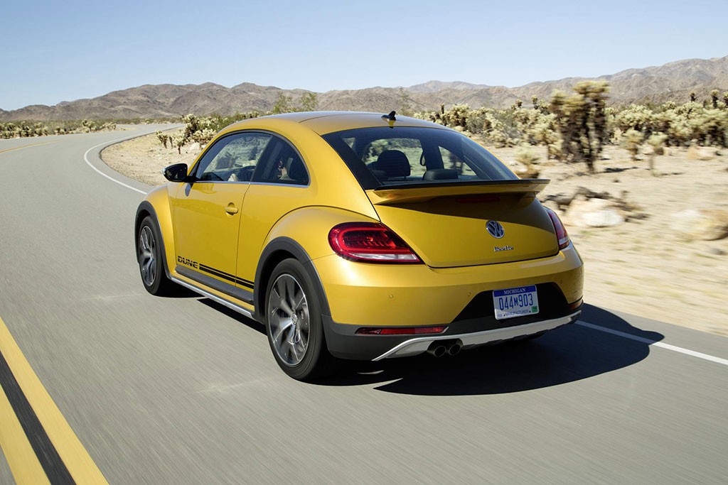 beetle-dune (5)