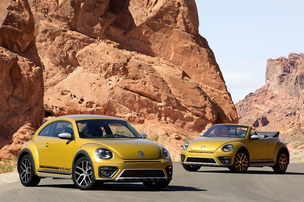 beetle-dune (6)