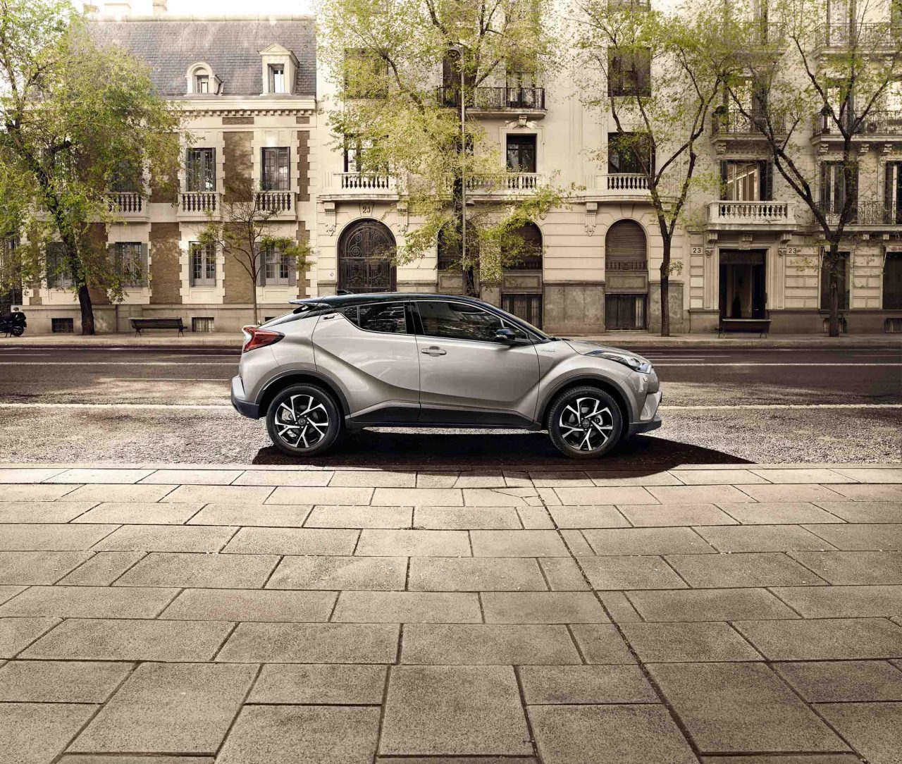 C-HR (1)