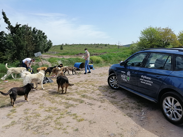 SKODA İyilik Araçları, tam kapanma uygulanan bu dönemde de sokak hayvanlarını unutmadı.
