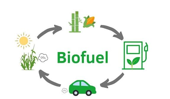Biyoyakıt, sentetik yakıt ve hidrojenle araçlar nasıl çalışıyor?